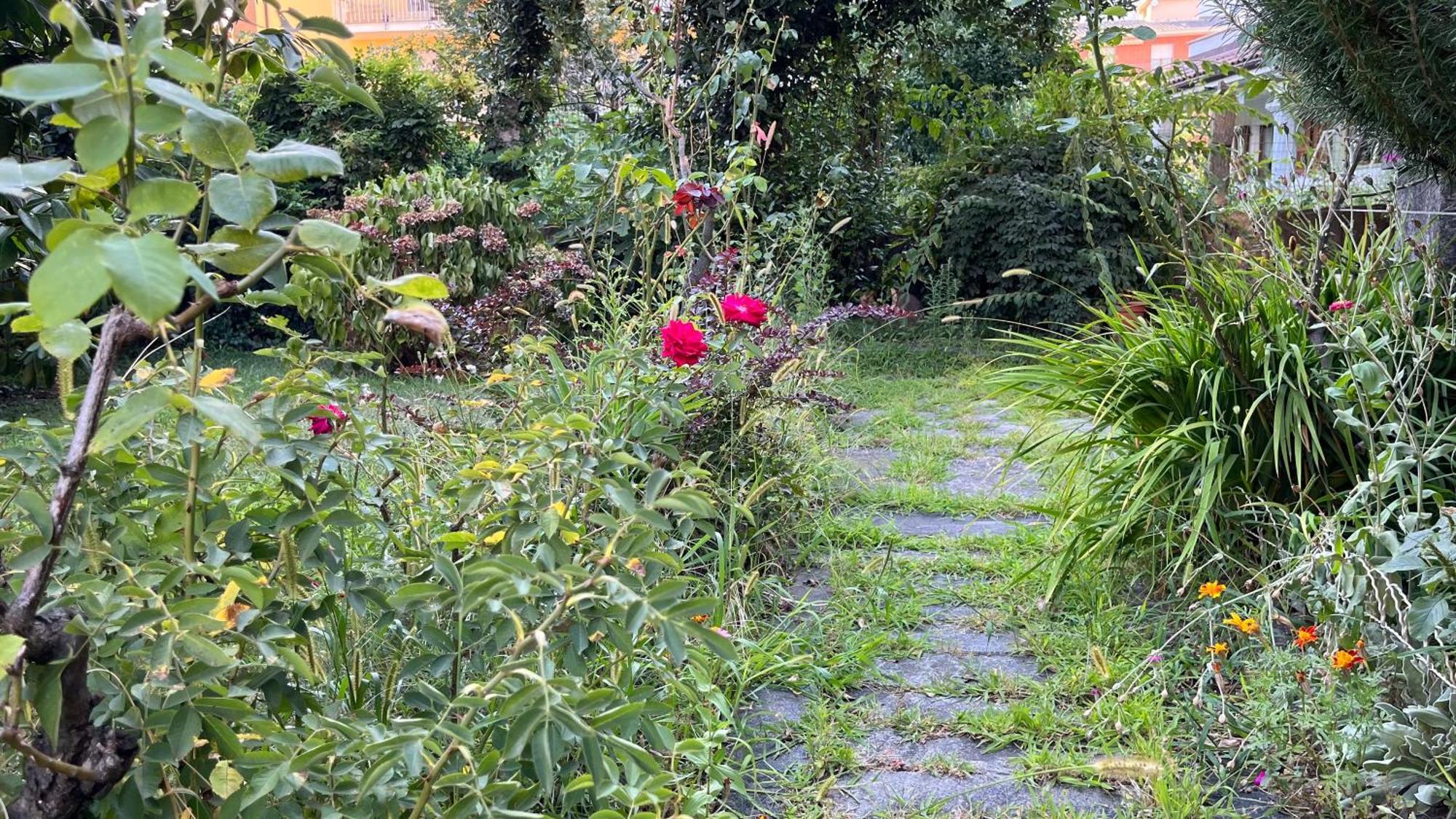 Antica Casa Storica Con Giardino Domodossola Exterior foto